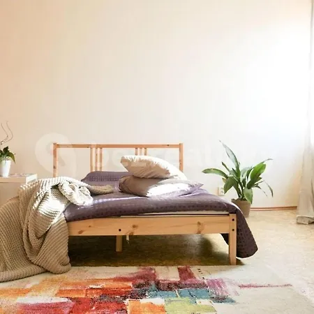 דירה Spacious Penthouse In Center *