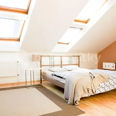 Apartman Spacious Penthouse In Center Prága
