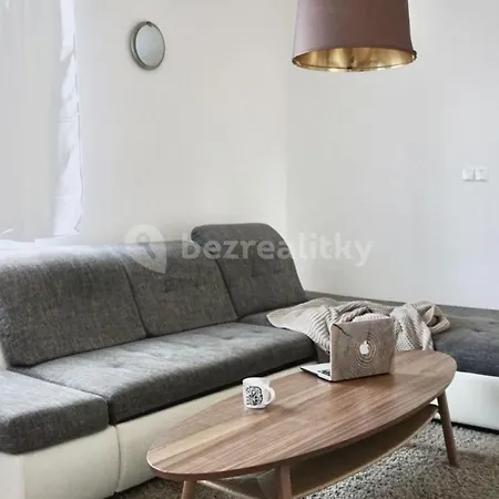 Spacious Penthouse In Center *