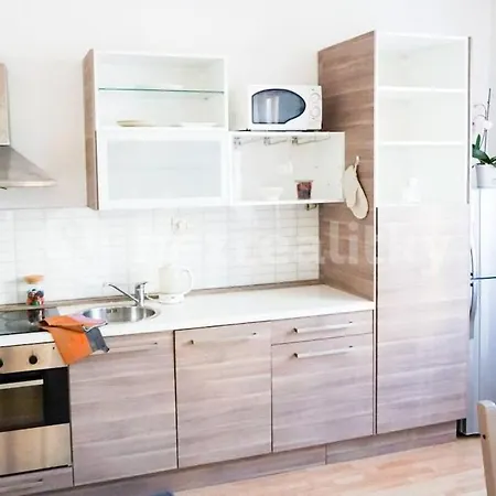 Spacious Penthouse In Center Praga