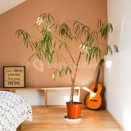 Apartment Spacious Penthouse In Center
